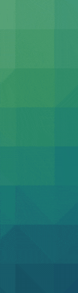 160x600 Banner Ad