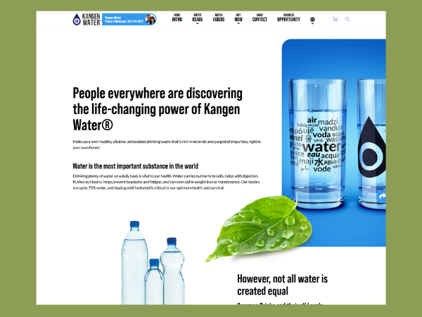The Kangen Water